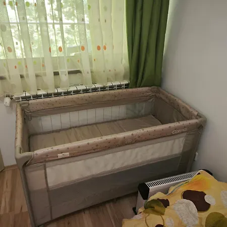 Banchevi Guest Apartament